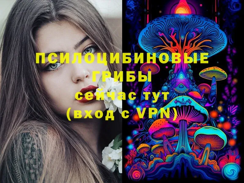 Псилоцибиновые грибы Cubensis  дарнет шоп  Ступино 